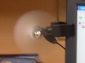 20050428_2.jpg