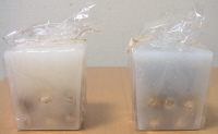 20050827.jpg