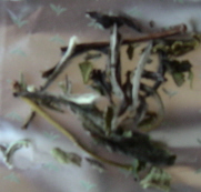 20051229_2.jpg