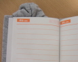 20060120_2_small.jpg