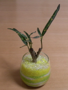20060512_small.jpg