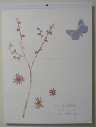 20071230_1_small.jpg