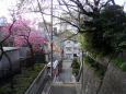 shi_060409_07_small.JPG