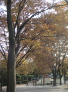 st_20051123_small.jpg