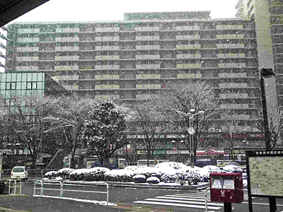 20060121.gif