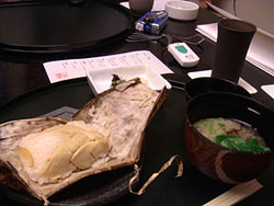 20060304-7.jpg