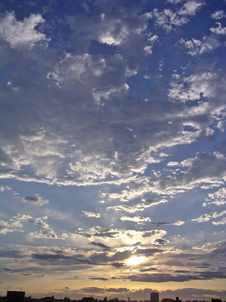 20060520.jpg