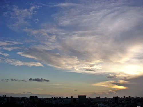 20060807.jpg