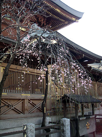 200802231