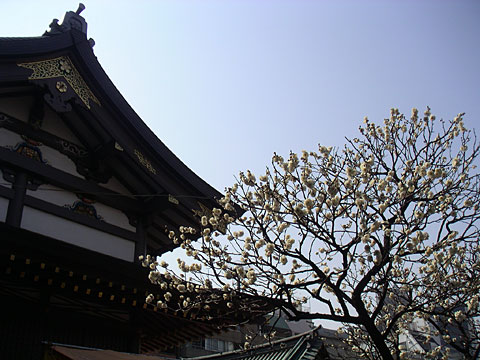 200802232