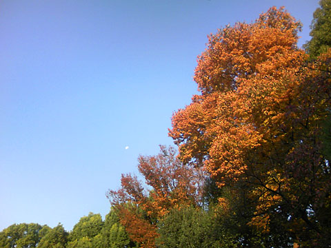 20081118
