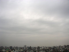 20081112