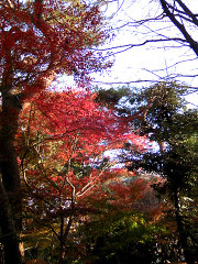 20081218