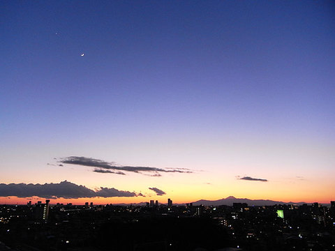 200812313