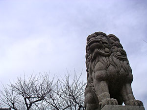 20060104-1.jpg