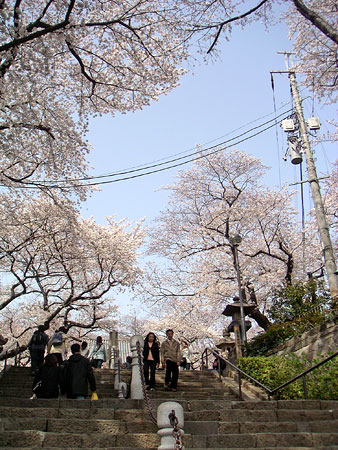 20060401-4.jpg