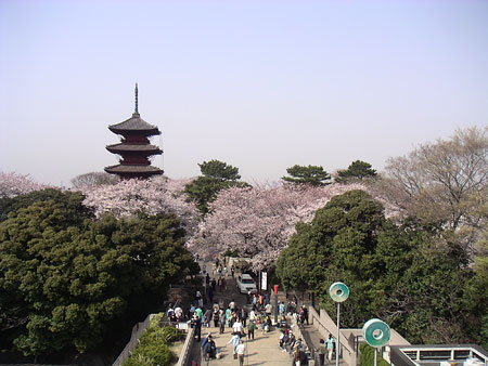 20060401-5.jpg