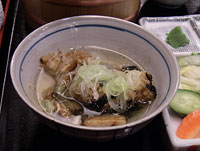 20060407-3.jpg