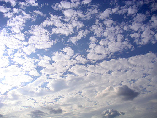 20060923.jpg